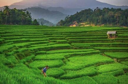 Gastronomi dan Perhotelan Terbaik di Jawa Barat