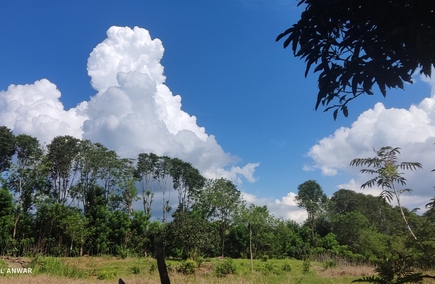 Gastronomi dan Perhotelan Terbaik di Kalimantan Selatan