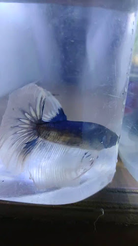 EAST 04 - Kota Bandar Lampung