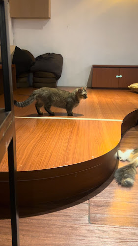 Jl. Mayor Pol. Zainal Arifin No.60, RT.56, Sumber Rejo, Kec. Balikpapan Tengah, Kota Balikpapan, Kalimantan Timur 76124