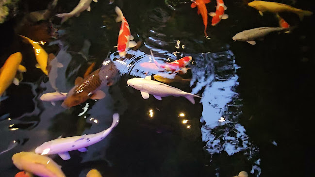 Jl. Pangururan No.20, Timbang Galung, Kec. Siantar Bar., Kota Pematang Siantar, Sumatera Utara 21143