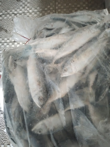 Opinii despre Home fish fresh în Kota Tegal - Gastronomi dan perhotelan