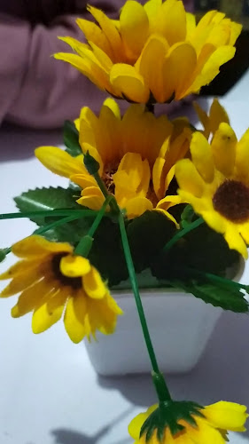 Opinii despre Roti Umee în Kota Serang - Gastronomi dan perhotelan