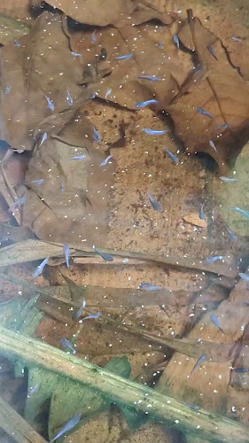 EAST 04 - Gastronomi dan perhotelan