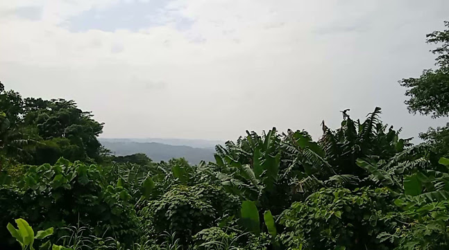 Opinii despre Pemancingan Sendang Nganten în Kota Semarang - Gastronomi dan perhotelan