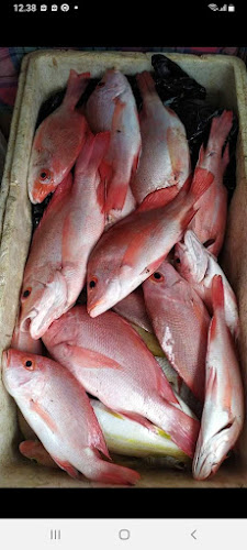 Comentarii opinii despre Home fish fresh