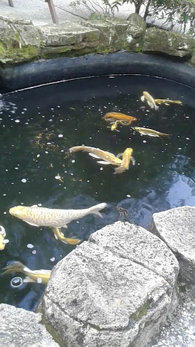 Jl. Karya Wisata No.26, Pangkalan Masyhur, Kec. Medan Johor, Kota Medan, Sumatera Utara 20143