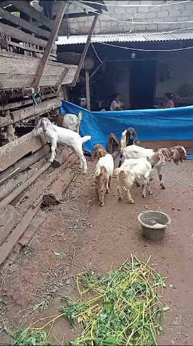 Jl. Way Sungkai No.9, Pahoman, Enggal, Kota Bandar Lampung, Lampung 35226