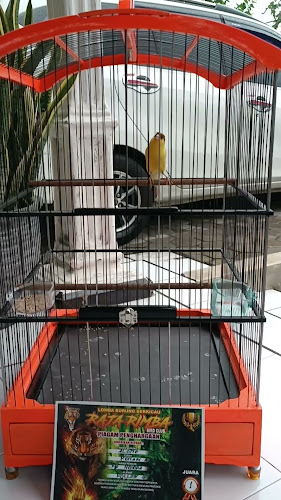 Rollink Channa Probolinggo - Kota Probolinggo