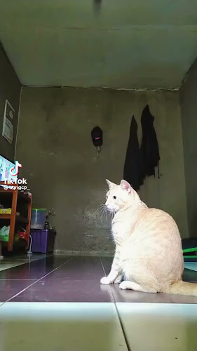 JCO COFFEE & DONUTS GATOT SUBROTO - Kota Denpasar