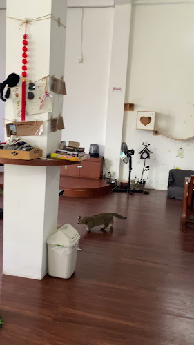 Opinii despre Cat'O Cafe Balikpapan în Kota Balikpapan - Gastronomi dan perhotelan