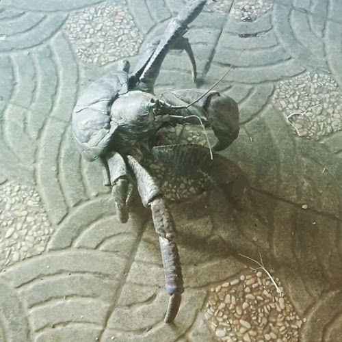 Rumah Makan Sumber Aroma - Kota Kendari