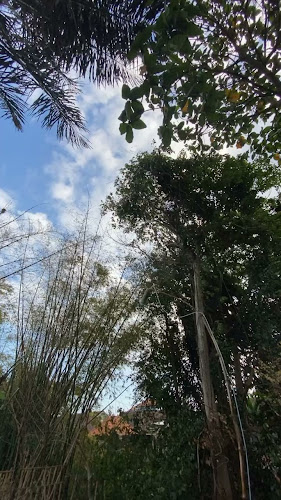 Warung Teba Jungut x Billiard - Kota Denpasar