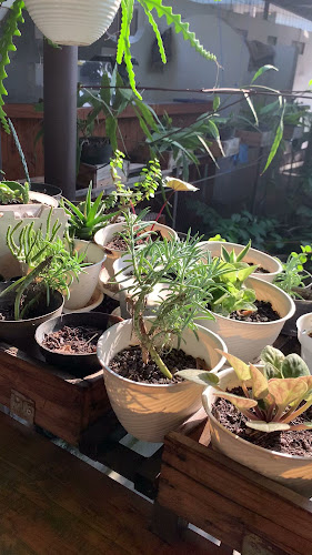 Comentarii opinii despre Bubur Ayam Serbu Rame