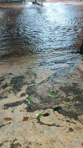 Andalas - Kota Semarang