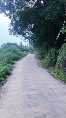 LG Lele - Kota Binjai