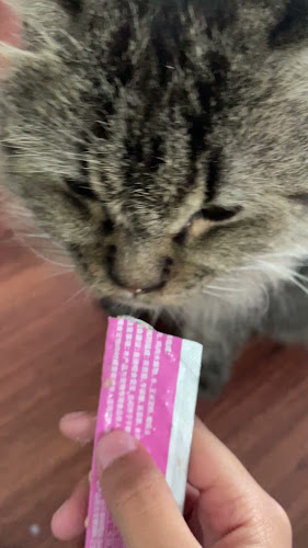 Cat'O Cafe Balikpapan - Gastronomi dan perhotelan