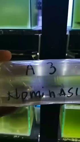 dr.guppy farm Palembang - Gastronomi dan perhotelan