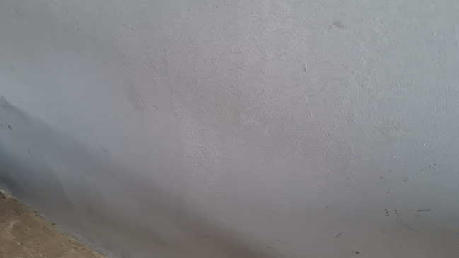 Comentarii opinii despre Mie Tarempa Bengkong