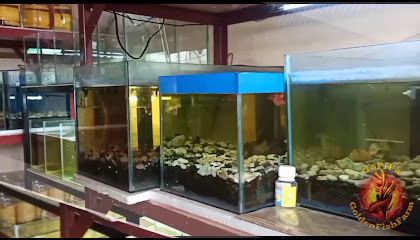 Golden Fish Farm