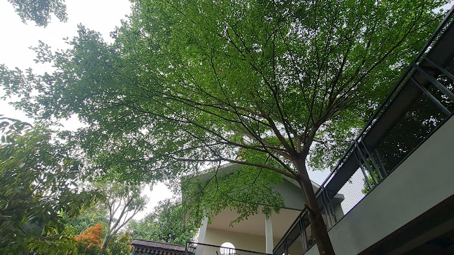 Gg. Salih Jenggot No.1, RT.01/RW.2, Parigi, Kec. Pd. Aren, Kota Tangerang Selatan, Banten 15227