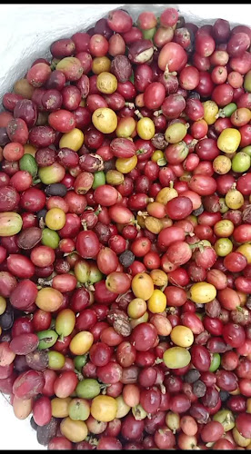 Opinii despre Coffee Cribo în Kab. Tasikmalaya - Gastronomi dan perhotelan