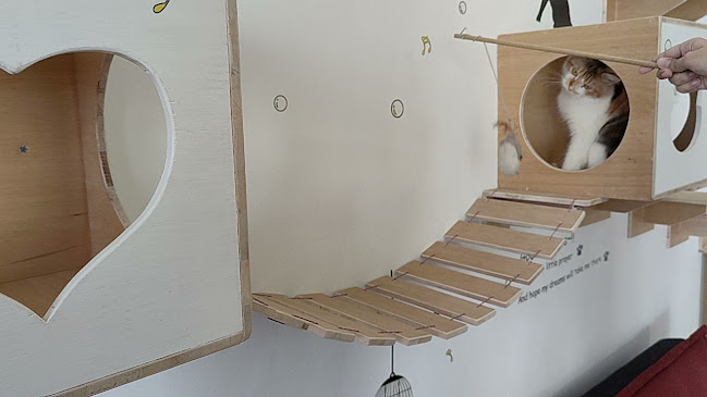 Cat'O Cafe Balikpapan - Kota Balikpapan