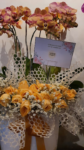 Comentarii opinii despre Umanari Cafe & Resto