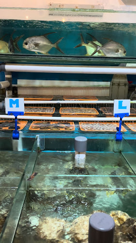 Opinii despre SANG SEAFOOD (SURABAYA BARAT) în Surabaya - Gastronomi dan perhotelan