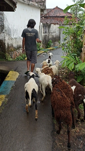 Opinii despre Aqiqah & qurban Kota Tasikmalaya în Kab. Tasikmalaya - Gastronomi dan perhotelan