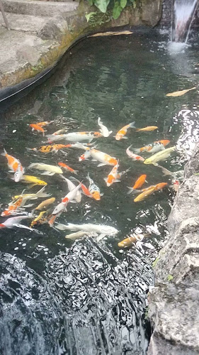 ALUN - ALUN KULINER INDONESIA - Gastronomi dan perhotelan