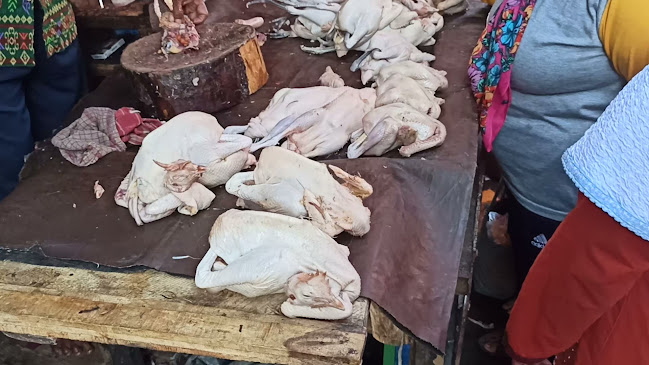 Opinii despre Jual & Pesan Ayam | Bebek Pak Amin Pasar Kruka Surabaya în Surabaya - Gastronomi dan perhotelan