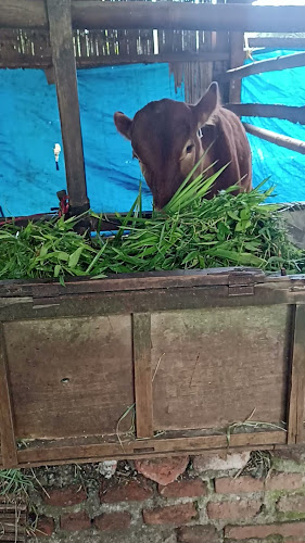 Aqiqah & qurban Kota Tasikmalaya