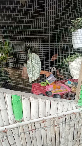 Opinii despre Palai Cinta Sikalang în Kota Sawahlunto - Gastronomi dan perhotelan