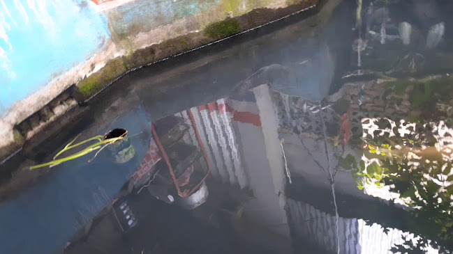 Opinii despre Ampera Devi în Kota Padang - Gastronomi dan perhotelan