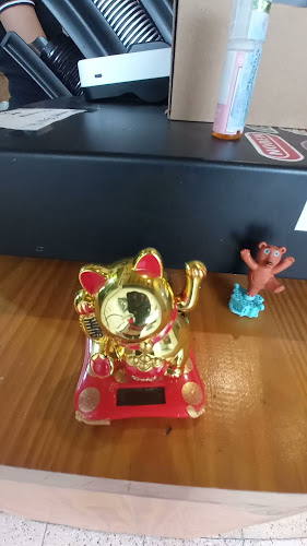 Comentarii opinii despre Noren Coffee & Roastery