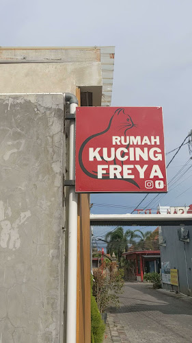 Cat cafe RUMAH KUCING FREYA