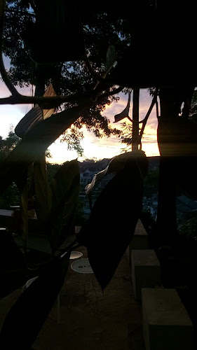 Comentarii opinii despre OURS CAFE & TEA HOUSE