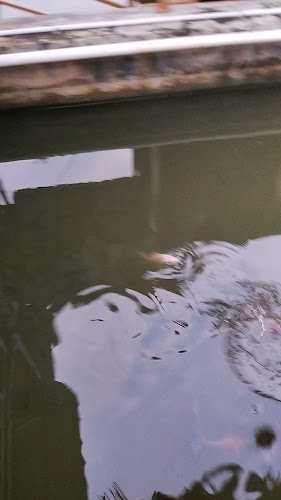 Bale Balong - Gastronomi dan perhotelan