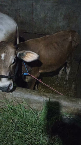 Comentarii opinii despre Aqiqah & qurban Kota Tasikmalaya