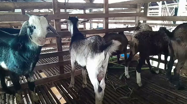 Rumah Aqiqah - Kota Cilegon
