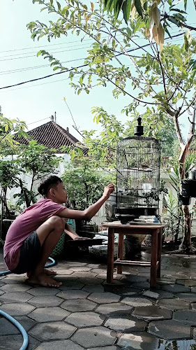 Opinii despre Rollink Channa Probolinggo în Kota Probolinggo - Gastronomi dan perhotelan