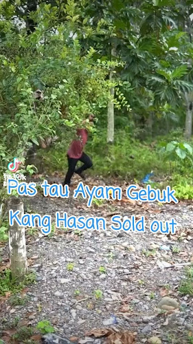 Ayam Gebuk Kang Hasan - Kota Palembang