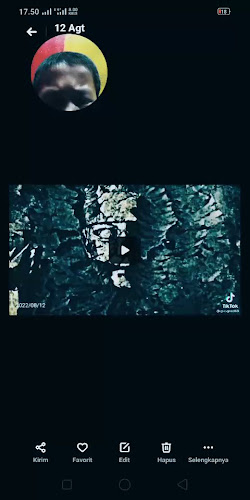 Martabak Mesir & Nasi Goreng Simpang Berok