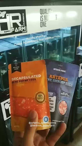 Comentarii opinii despre dr.guppy farm Palembang