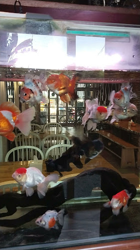 Koi Cafe - Kota Pematang Siantar