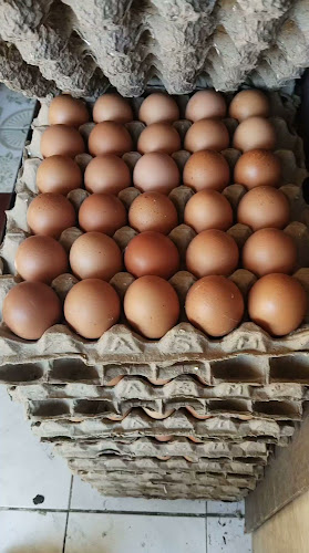 Opinii despre Sate bawah pohon în Kota Denpasar - Gastronomi dan perhotelan