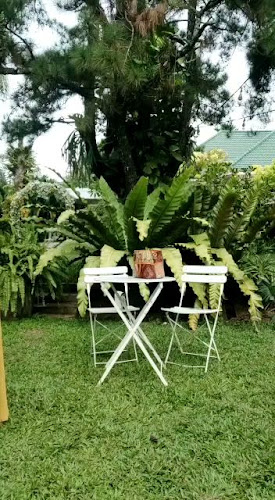 Comentarii opinii despre Mein Garden Cafe