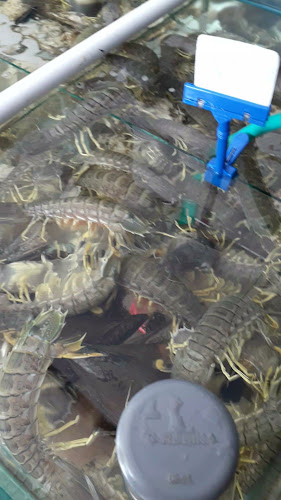 Opinii despre SANG SEAFOOD (SURABAYA BARAT) în Surabaya - Gastronomi dan perhotelan