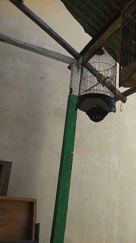 Opinii despre Ikan Bakar Pak Irfan în Kota Lhokseumawe - Gastronomi dan perhotelan